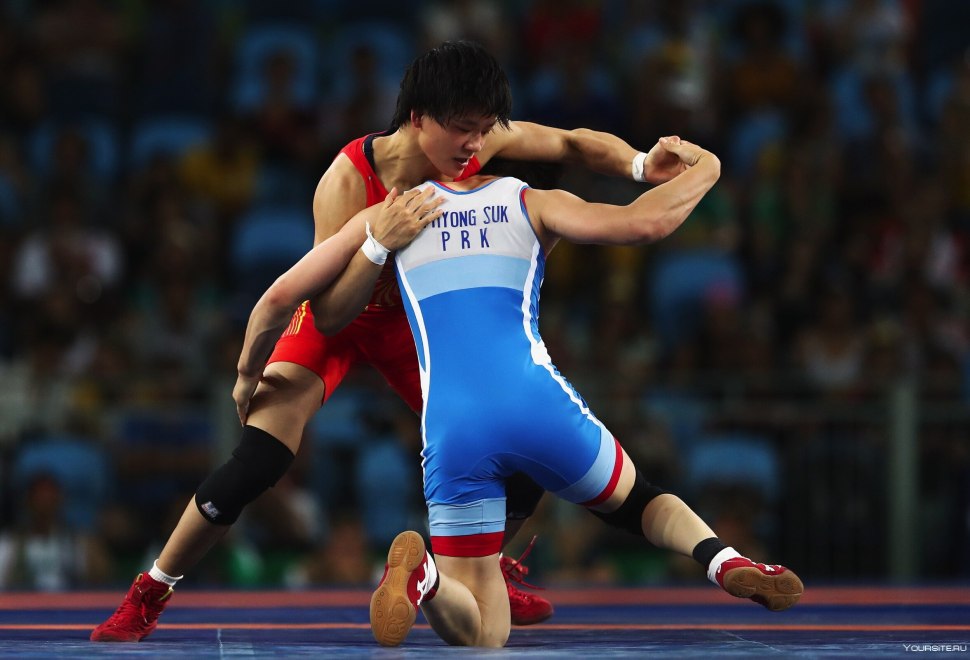 Freestyle Wrestling