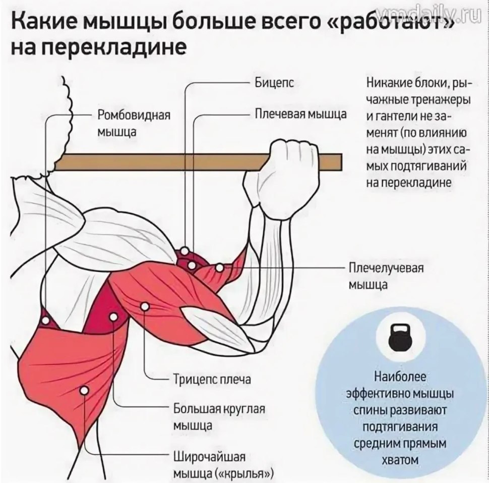 Зубчатые мышцы на турнике