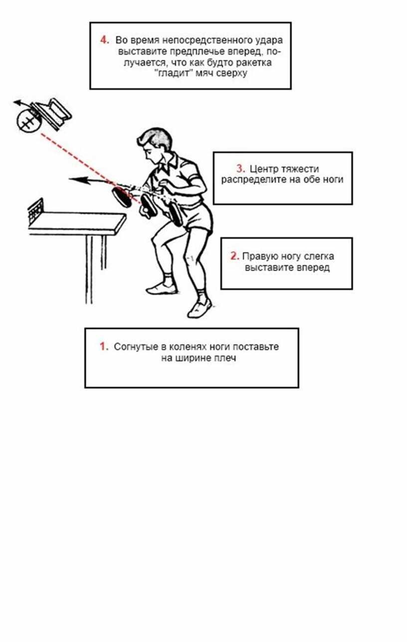 Накат в настольном теннисе