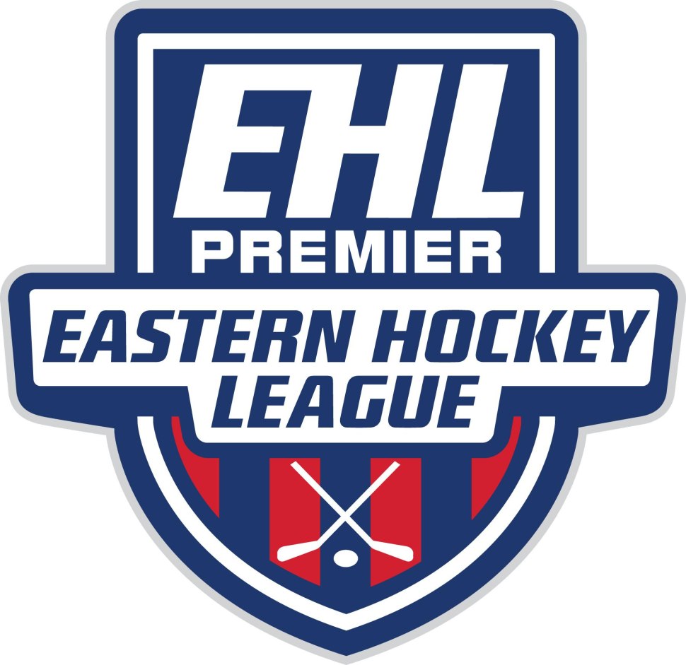 College League young Division logo