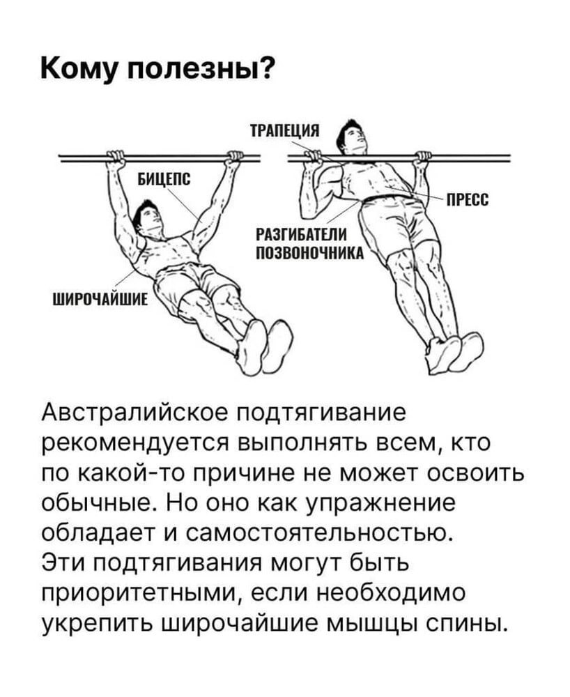 Австралийские подтягивания какие мышцы работают