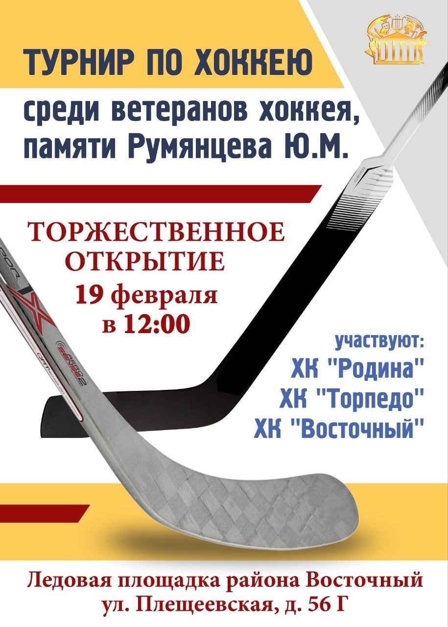 Турнир по хоккею 19 февраля 2023 среди 2011 года