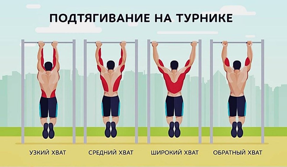 Подтягивания на турнике группы мышц