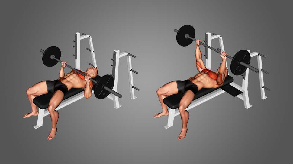 Overhead Barbell Press