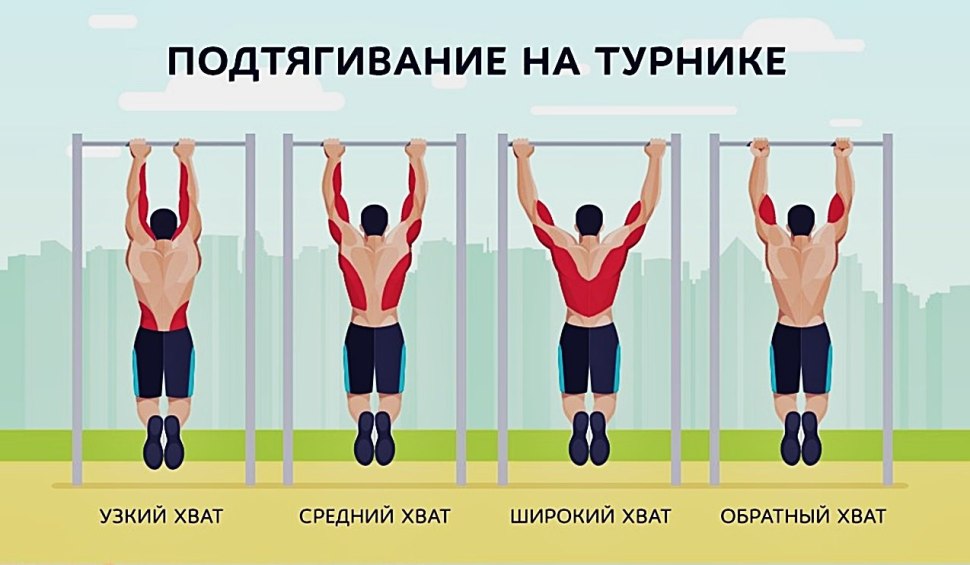 Какие мышцы работают при подт