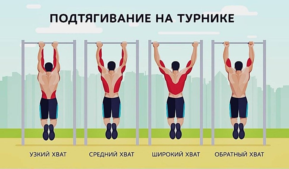 Какие мышцы качаются при подтягивании на турнике