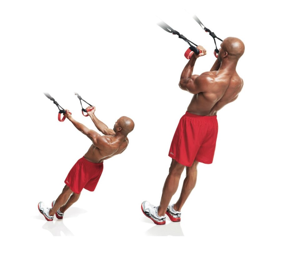 Bodyweight Bicep Curl
