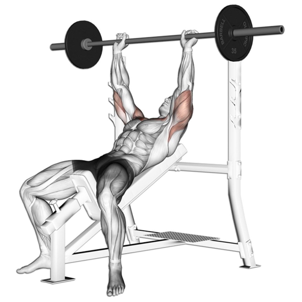Bench Press жим лежа