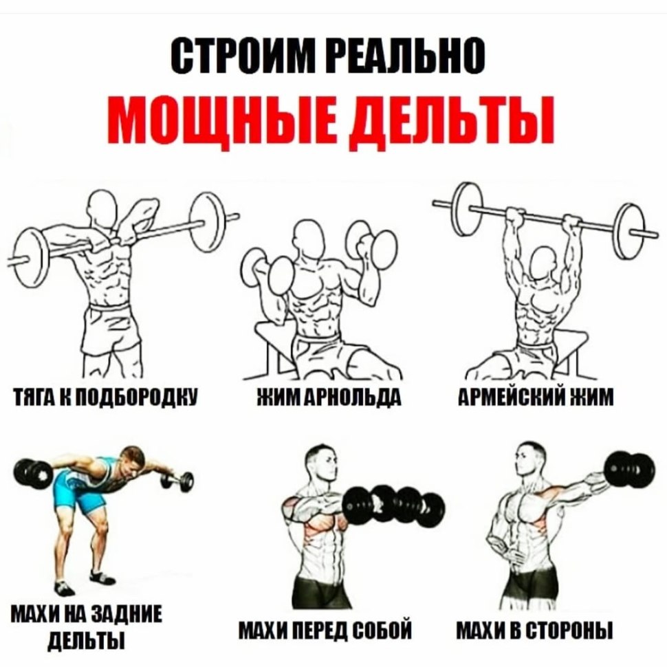 Упражнения на дельтовидные мышцы со штангой