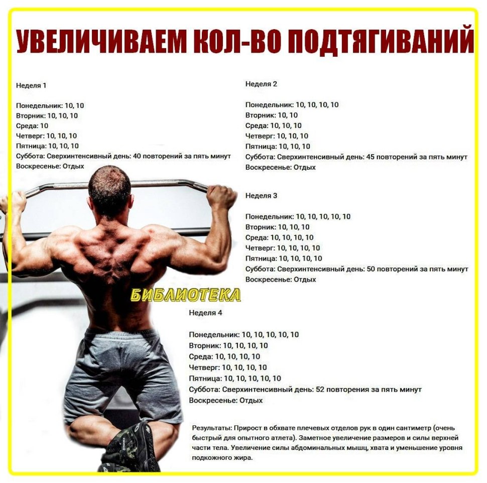 Схема тренировок на турнике для увеличения количества подтягиваний