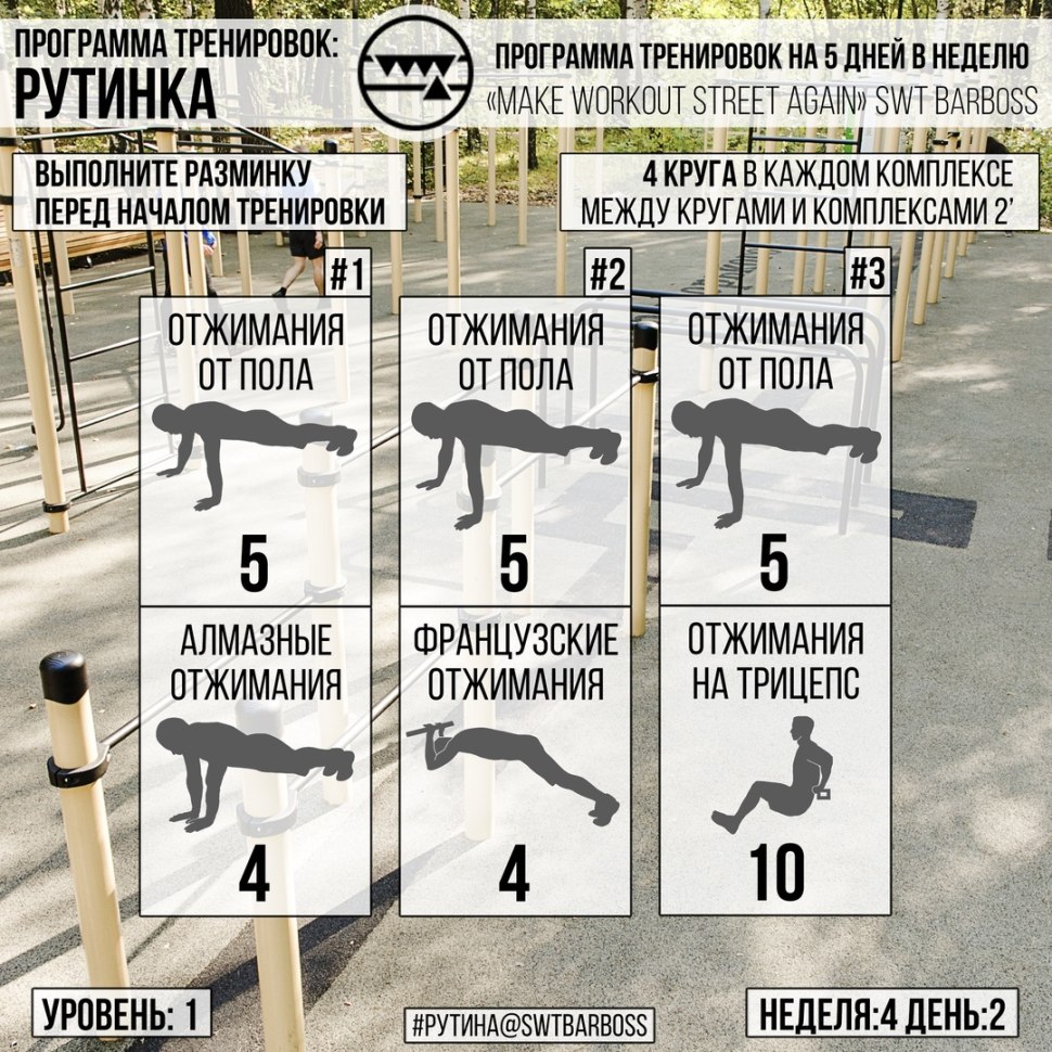 Программа тренировок на турнике и брусьях