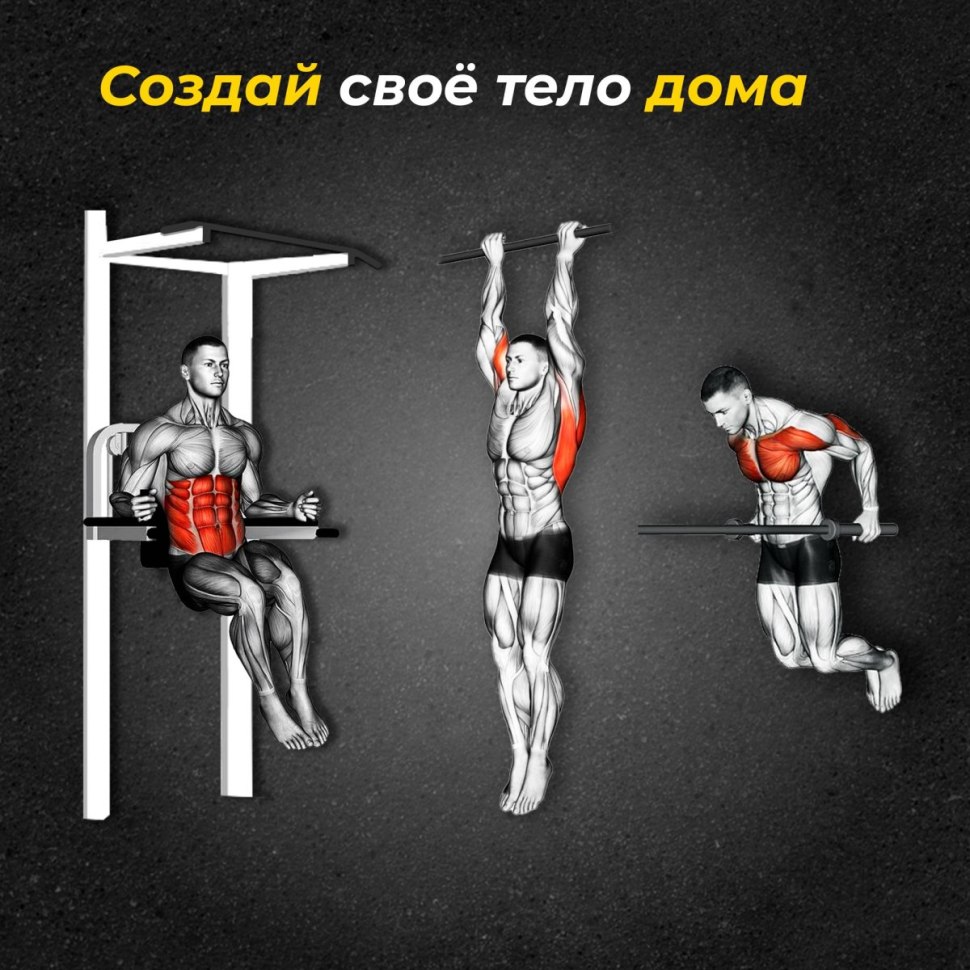 Commando Pull ups muscles