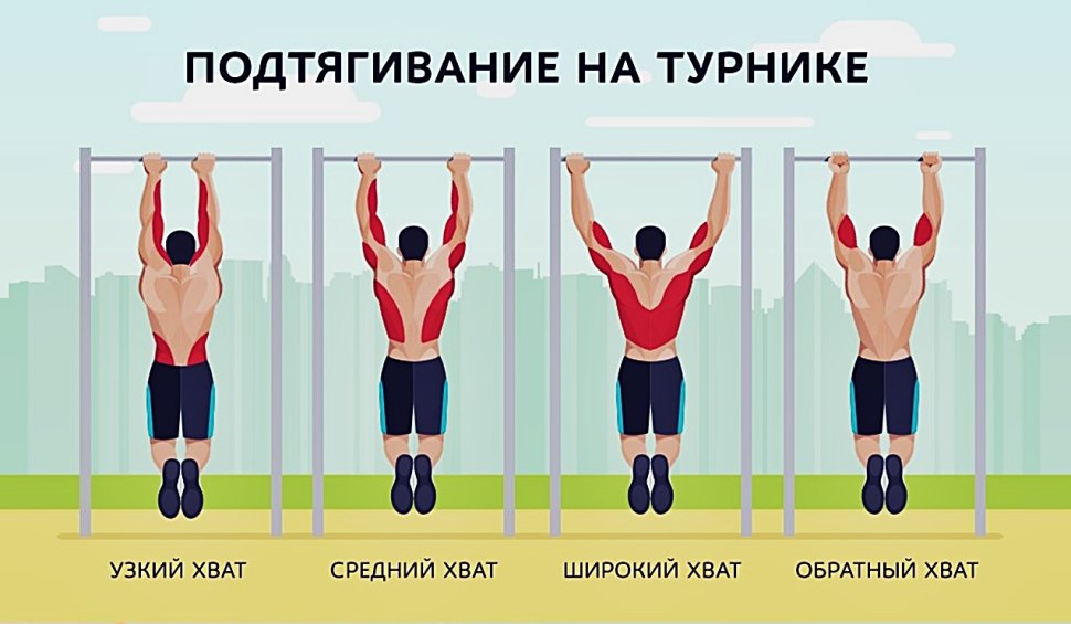 Какие мышцы работают при подтягивании