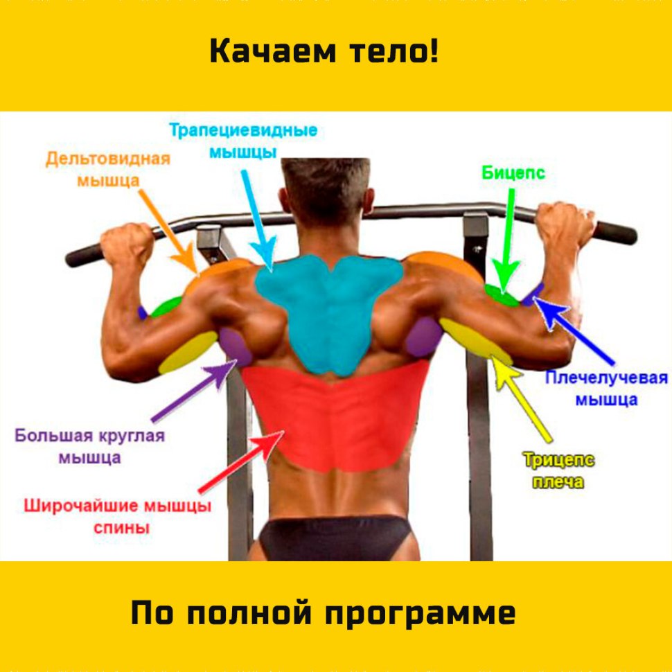 Какие мышцы качаются при подтя
