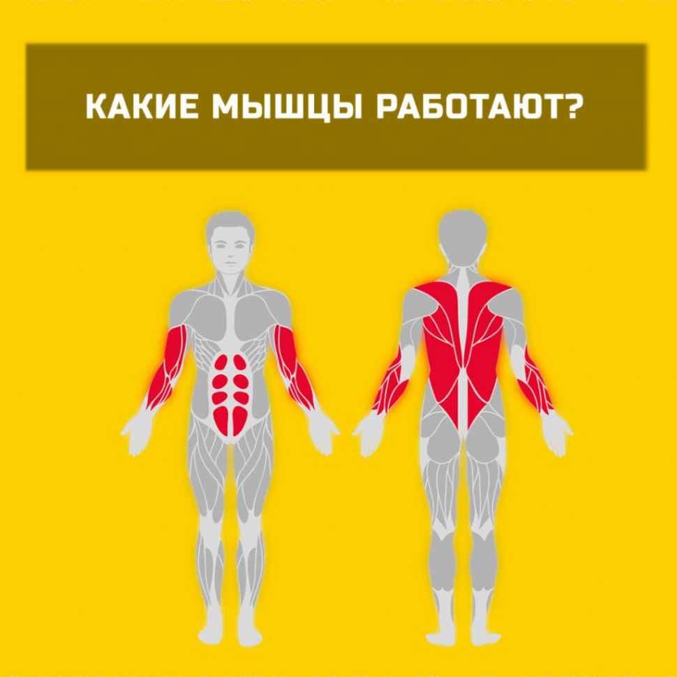 Турник какие мышцы работают