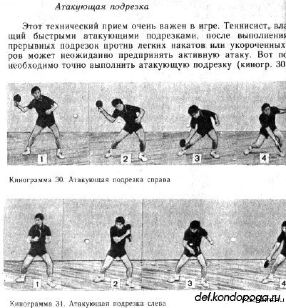 Настольный теннис техника игры в нападении