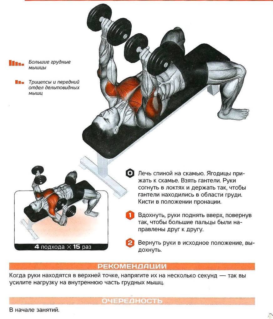 Жим гантелей для грудных мышц
