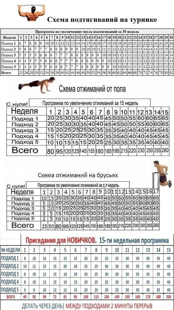 Схема подтягиваний на брусьях за 30
