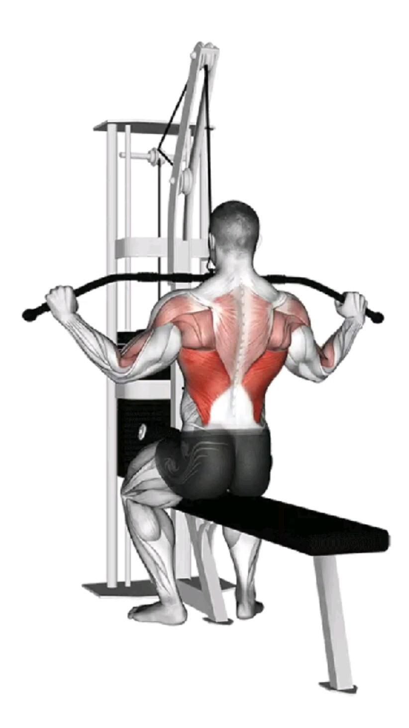 Lat Pulldown верхний блок