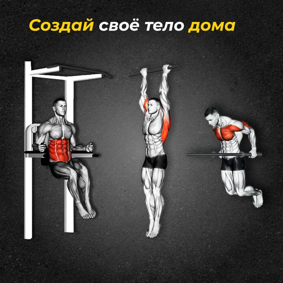 Commando Pull ups muscles