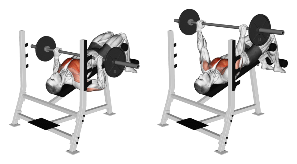 Decline Barbell Bench Press