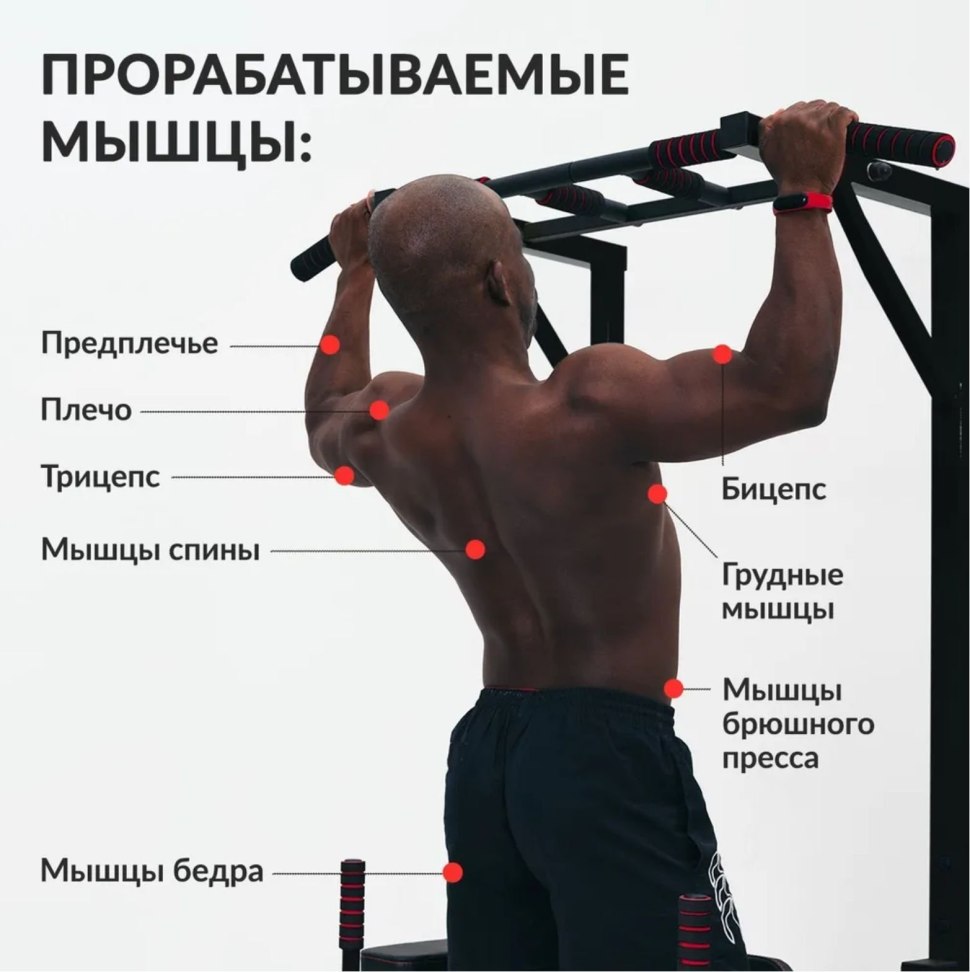 False Grip Chin-up negatives