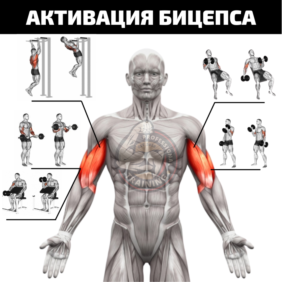 Exercises for measuring EMG