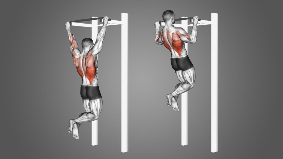 Pull ups Tutorial