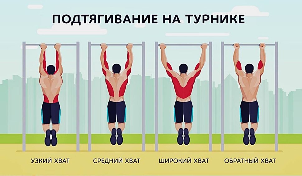 Какие мышцы работают при подтягивании
