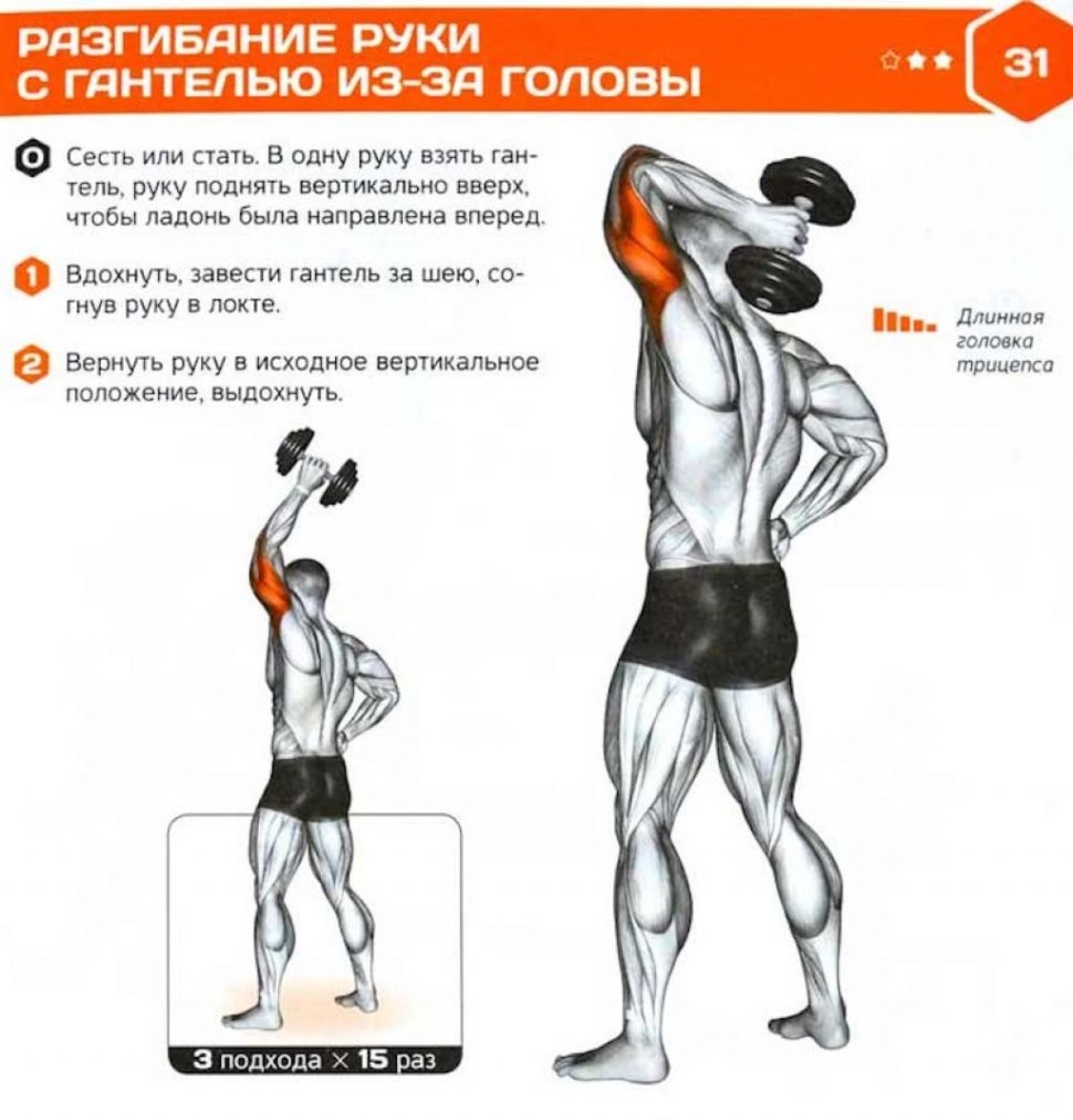 Французский жим гантелей стоя