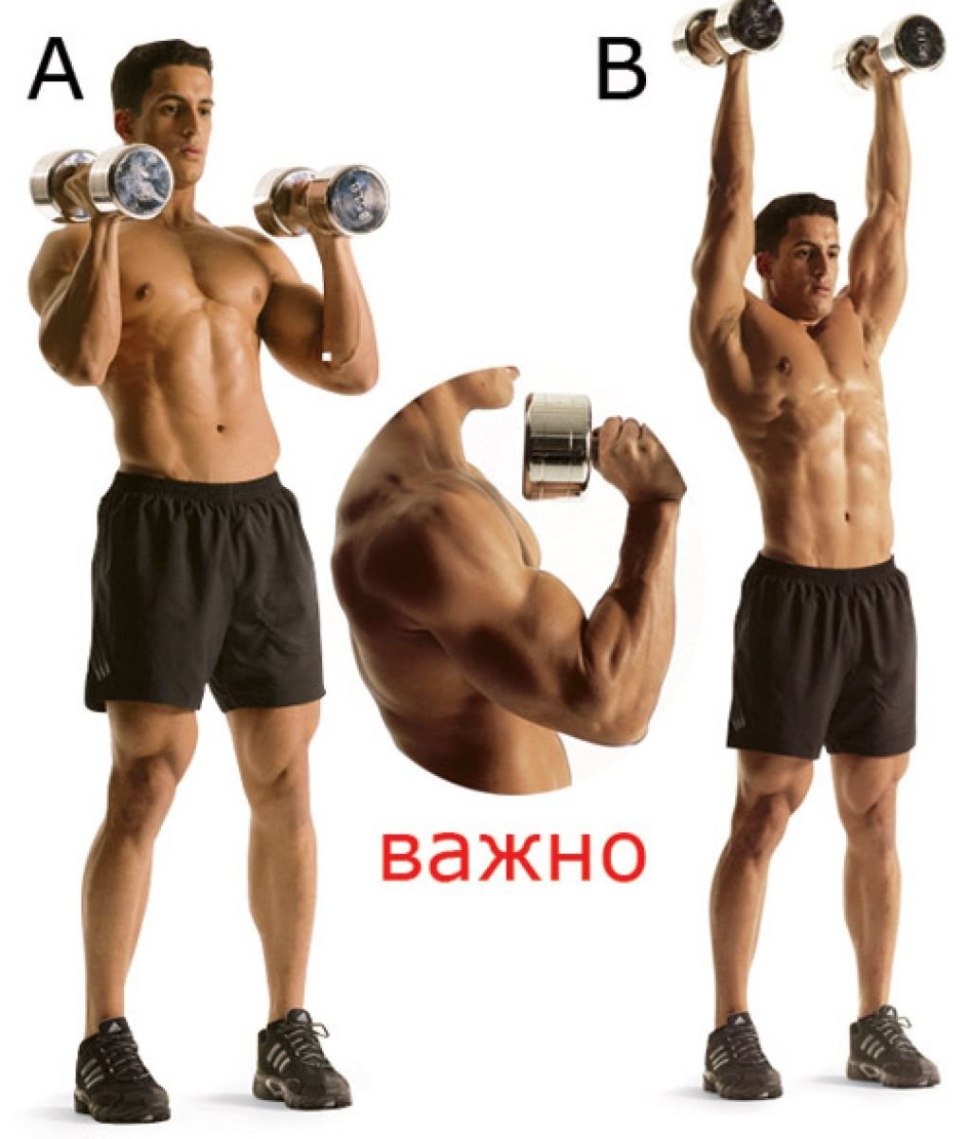 Попеременный жим гантелей стоя