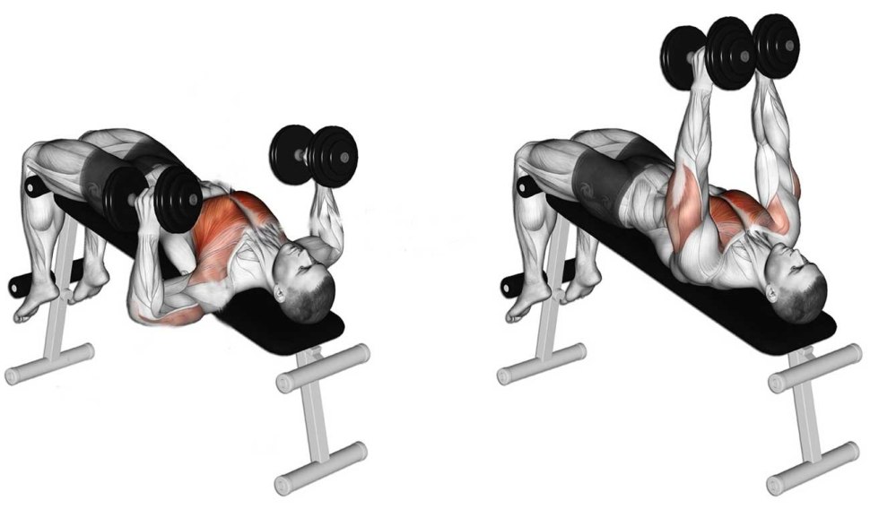 Упражнение Dumbbell Bench Press