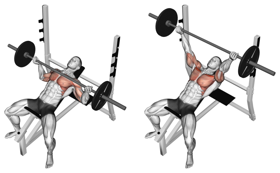Reverse Grip Barbell Bench Press