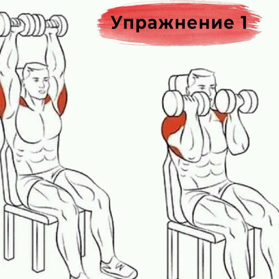 Упражнения с гантелями на трицепс для мужчин
