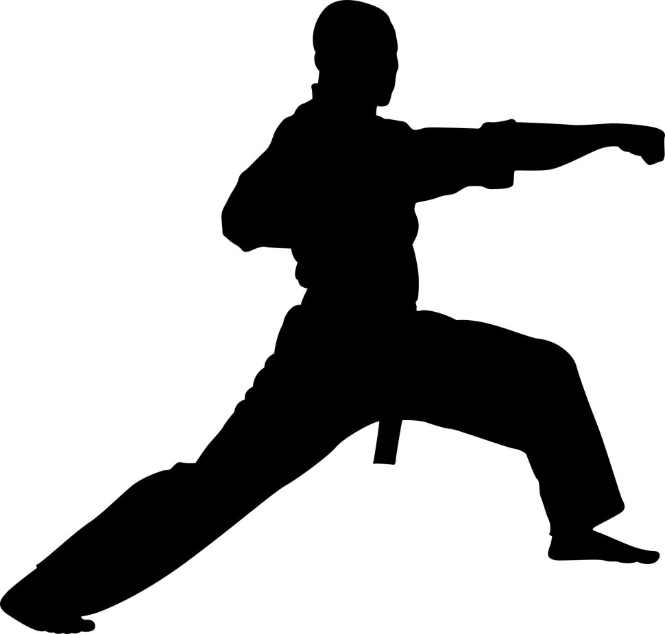 Taekwondo силуэт