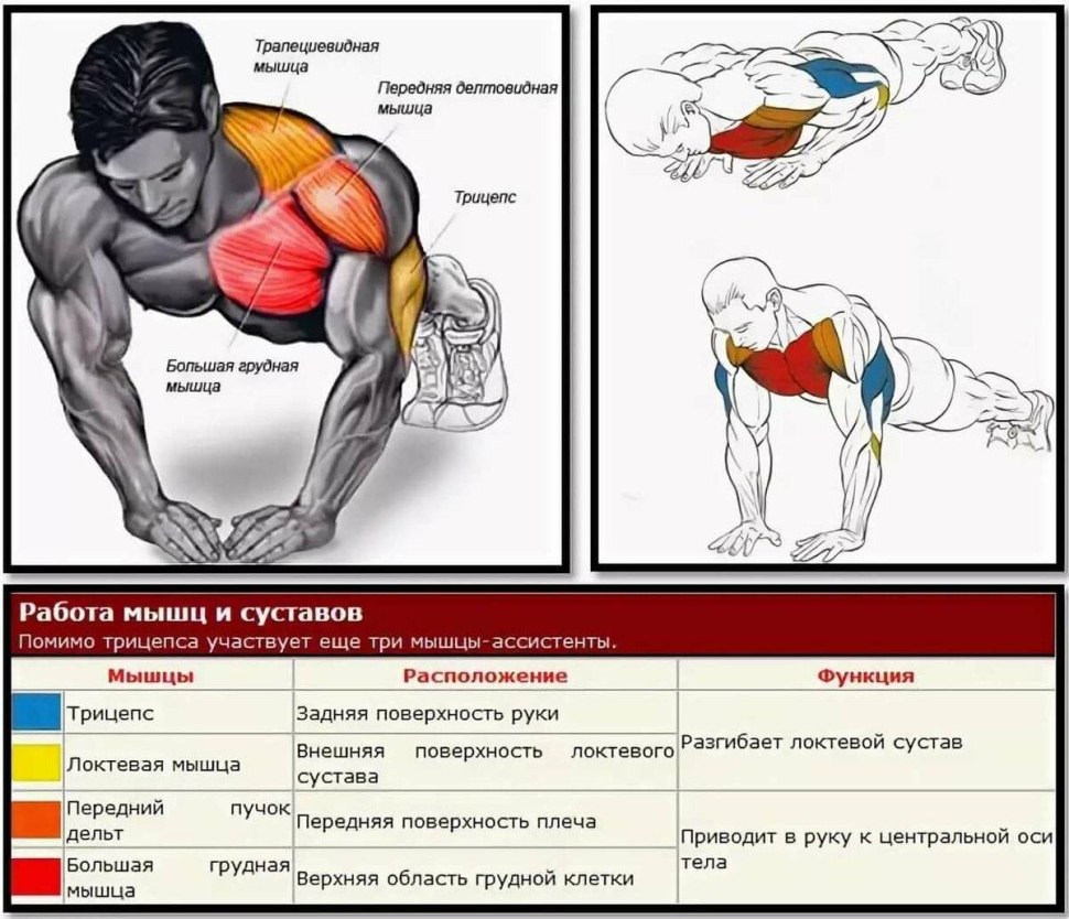 Прокачка грудных мышц отжиманиями от пола