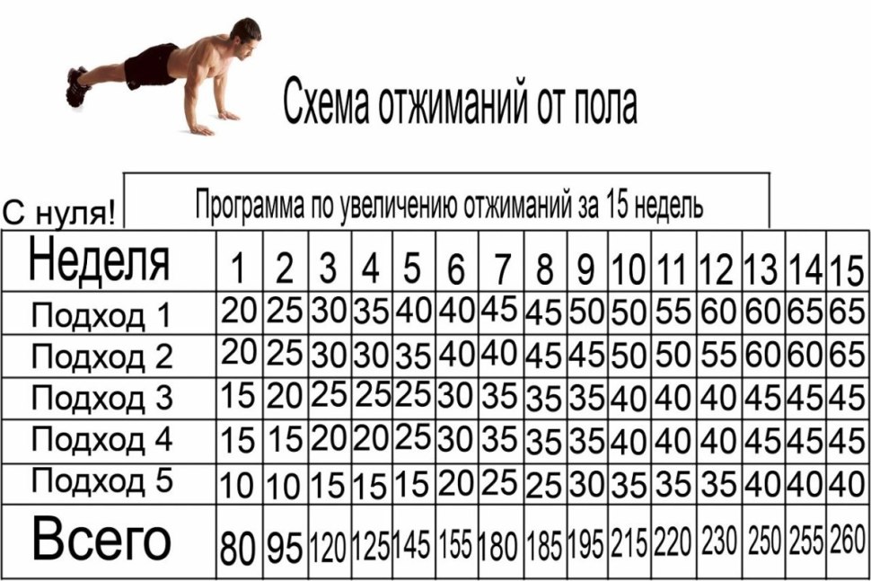 Схема отжиманий от пола до 100