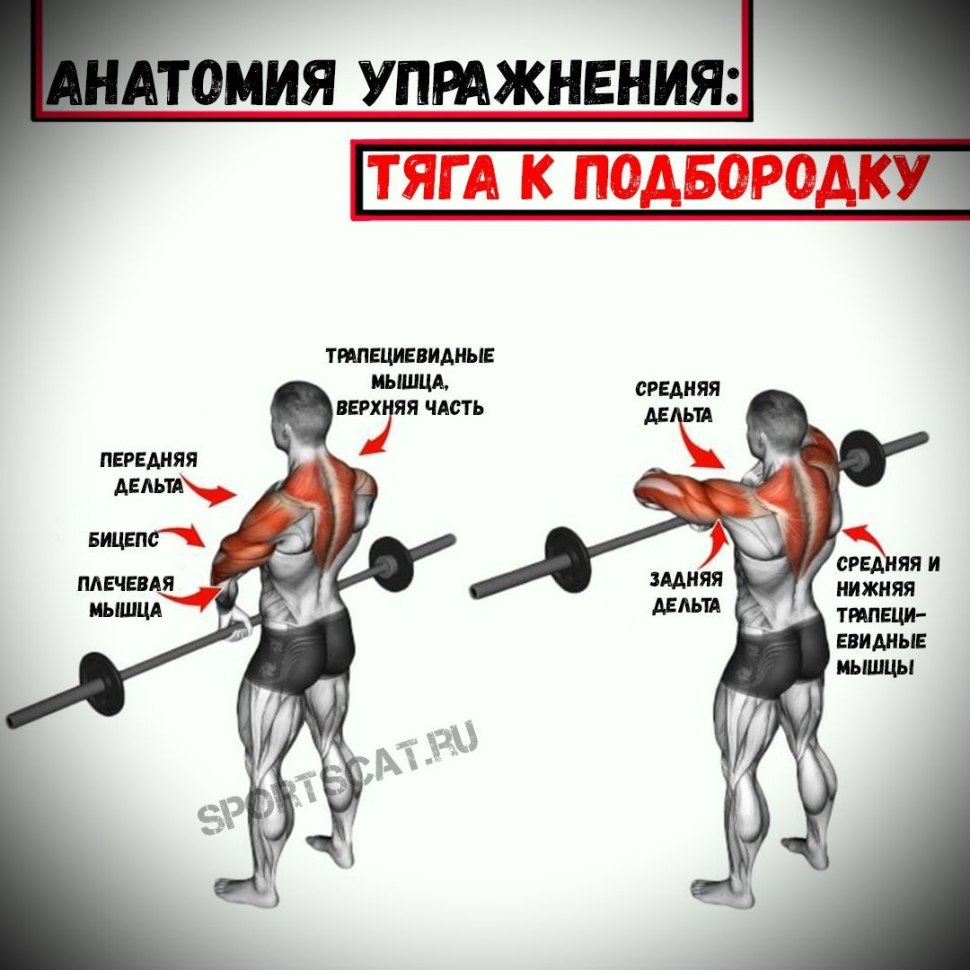 Занятия со штангой