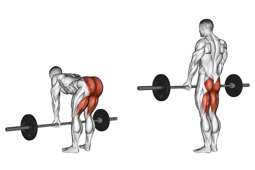 Становая тяга это Deadlift