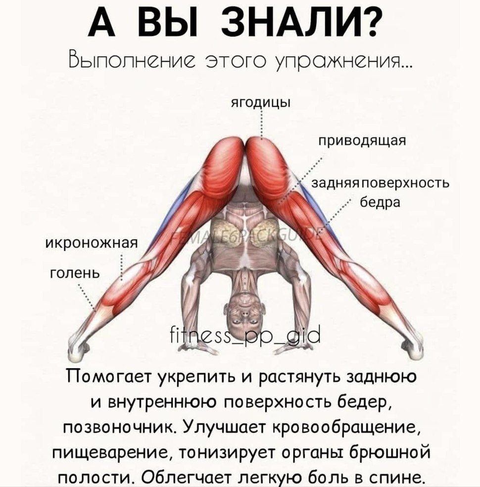 Растяжка приводящих мышц бедра