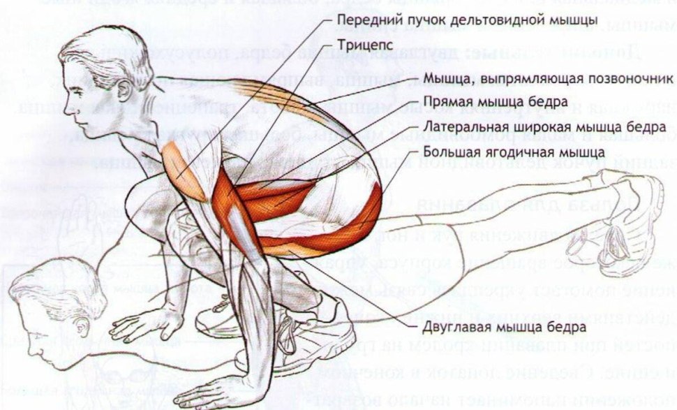 Упражнения на ножные группы мышц