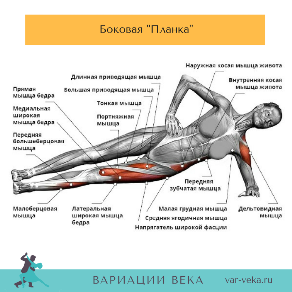 Боковая планка какие мышцы задействованы