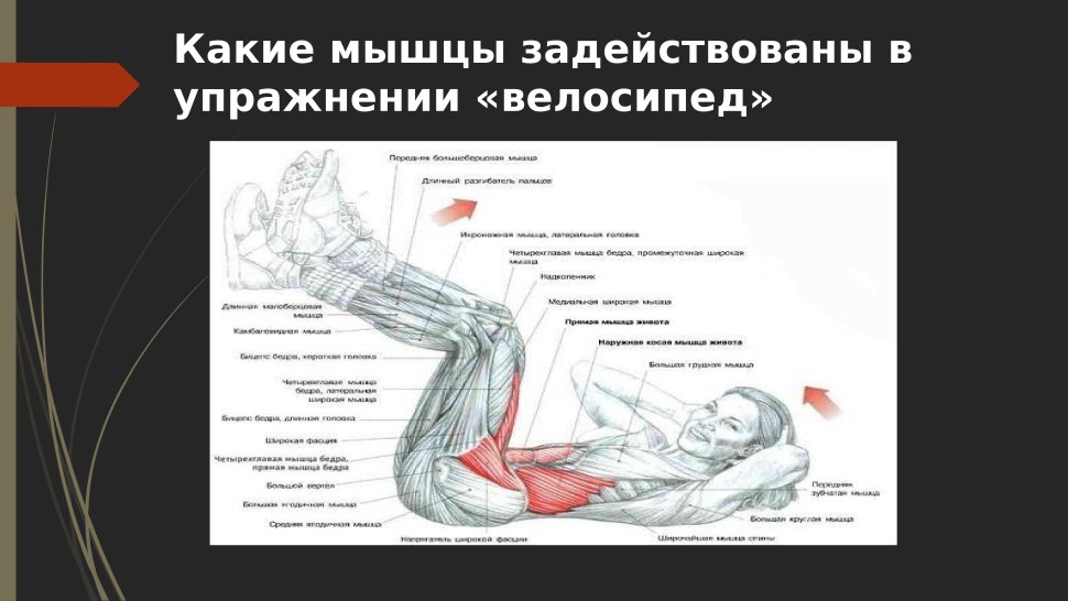 Упражнения на пресс и какие мышцы задействованы