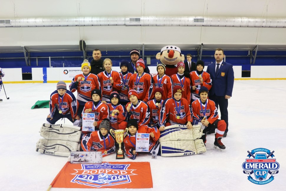 Бобров хоккей год 2009