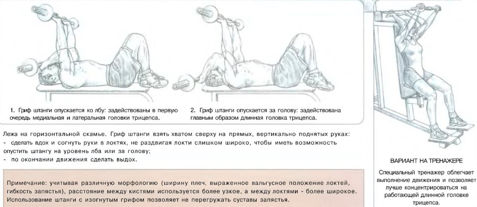 Как правильно делать французский жим