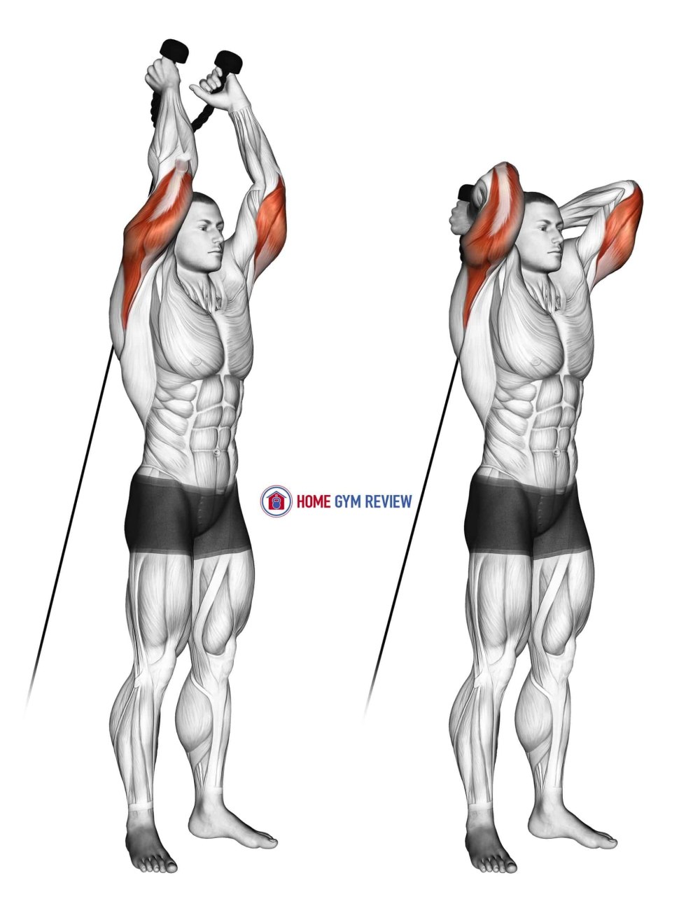 Cable overhead Triceps Extension