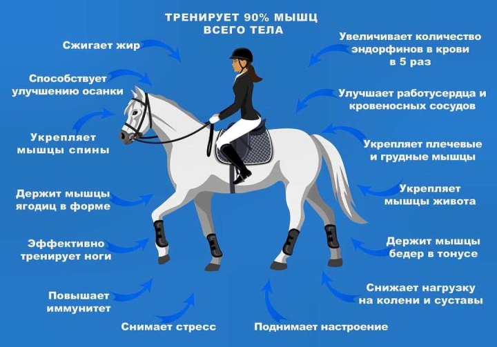 Верховая езда