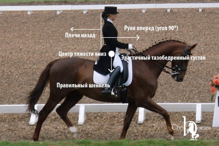 Правильная посадка на лошади