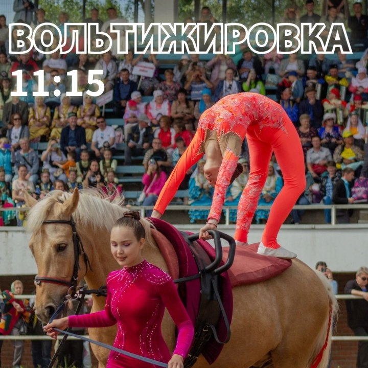 Афиша о конных скачках