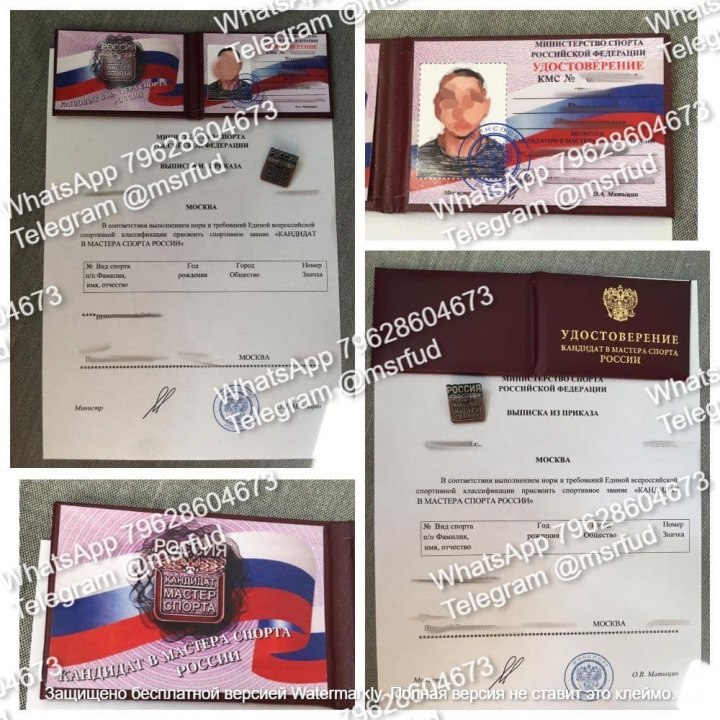 Удостоверение мастера спорта пластиковое